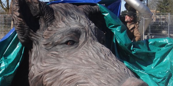 Foto: Beeld van Krelis de Keiler onthuld bij Poort van de Veluwe